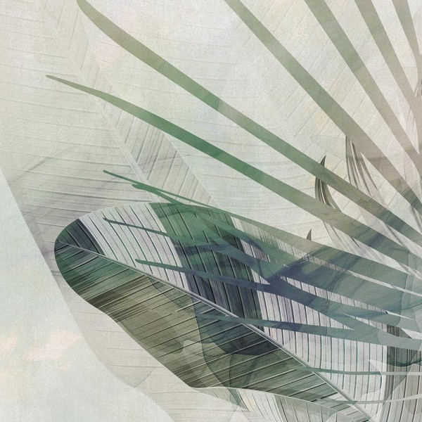 Rimura | Folia