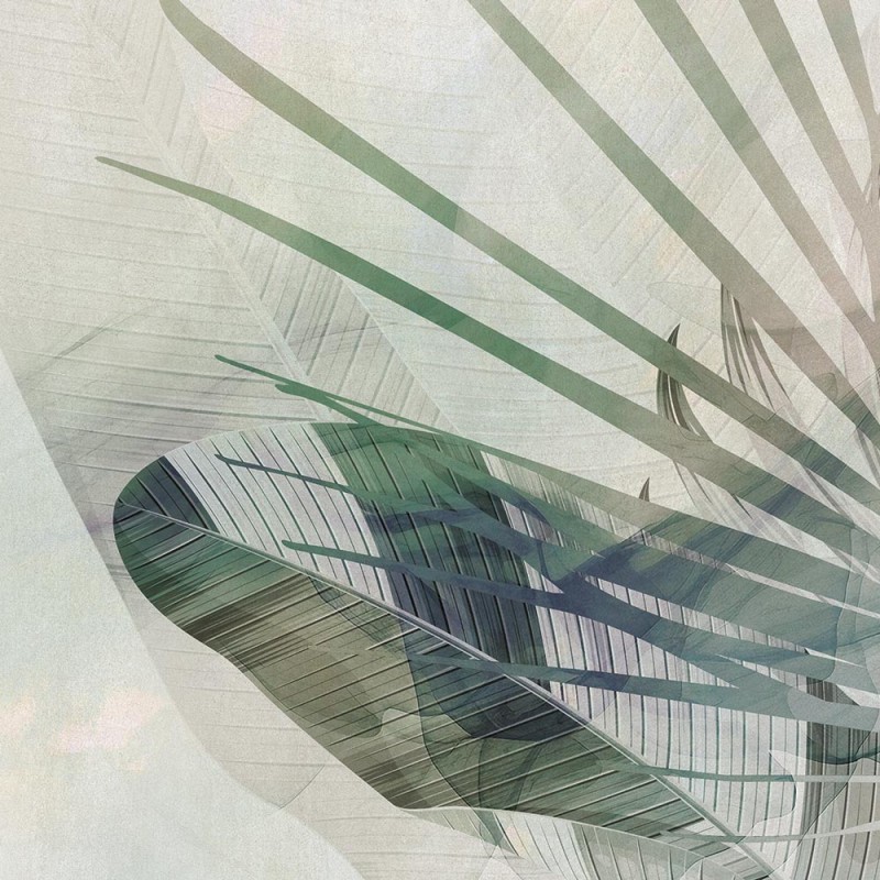 Rimura | Folia