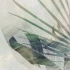 Rimura | Folia