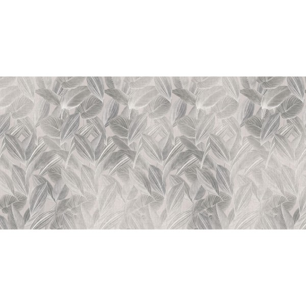 Rimura | Foliage