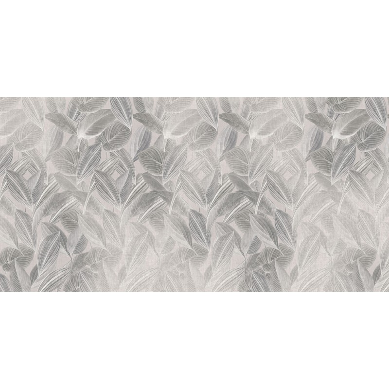 Rimura | Foliage