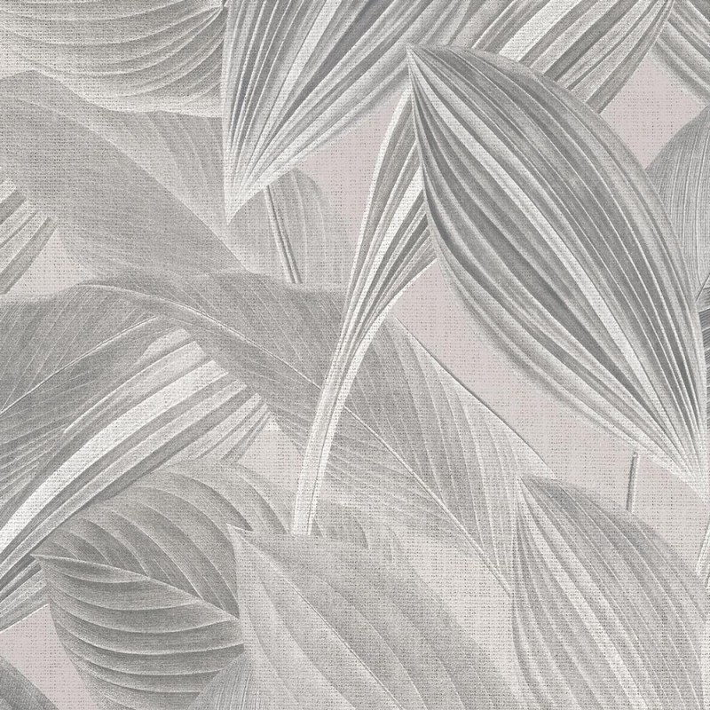 Rimura | Foliage
