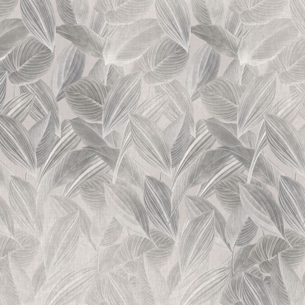 Rimura | Foliage