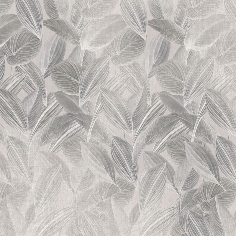 Rimura | Foliage