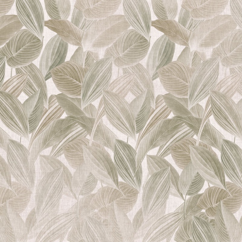 Rimura | Foliage