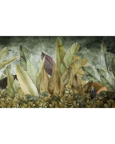Rimura | Foliis Tropicae