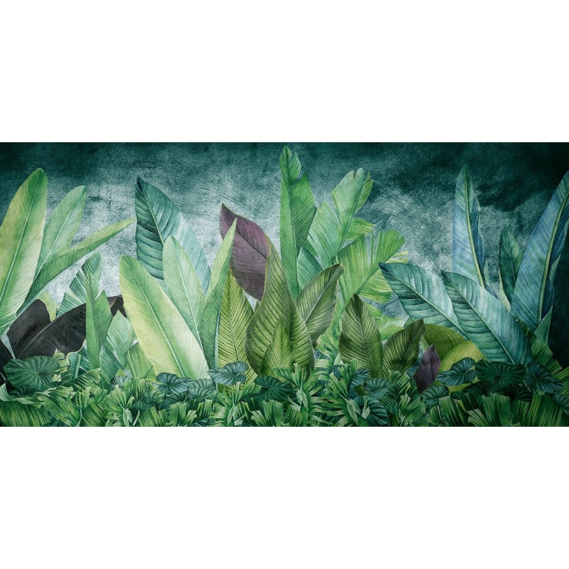 Rimura | Foliis Tropicae