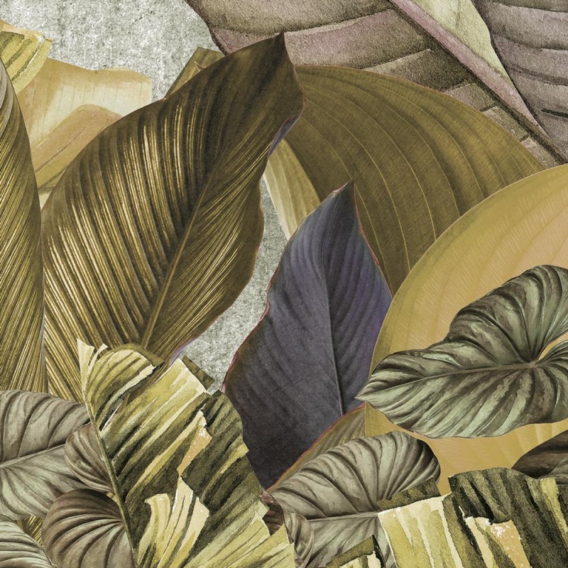 Rimura | Foliis Tropicae