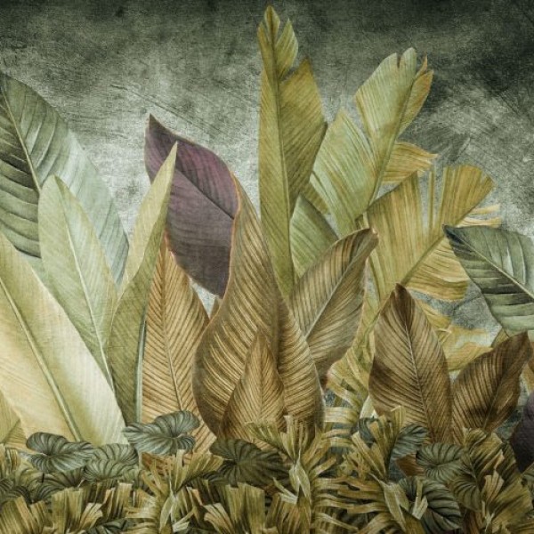 Rimura | Foliis Tropicae