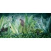 Rimura | Foliis Tropicae