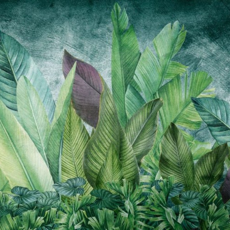 Rimura | Foliis Tropicae