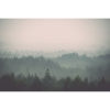 Rimura | Foresta Nera