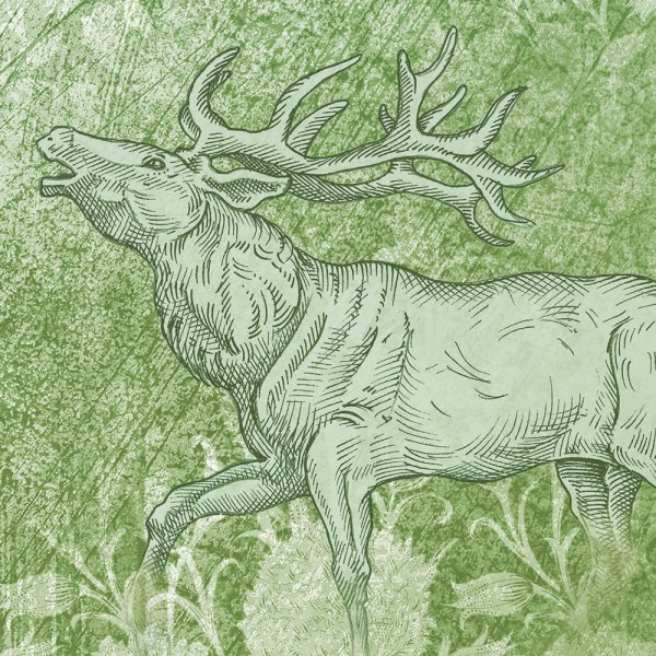 Rimura | Foresta