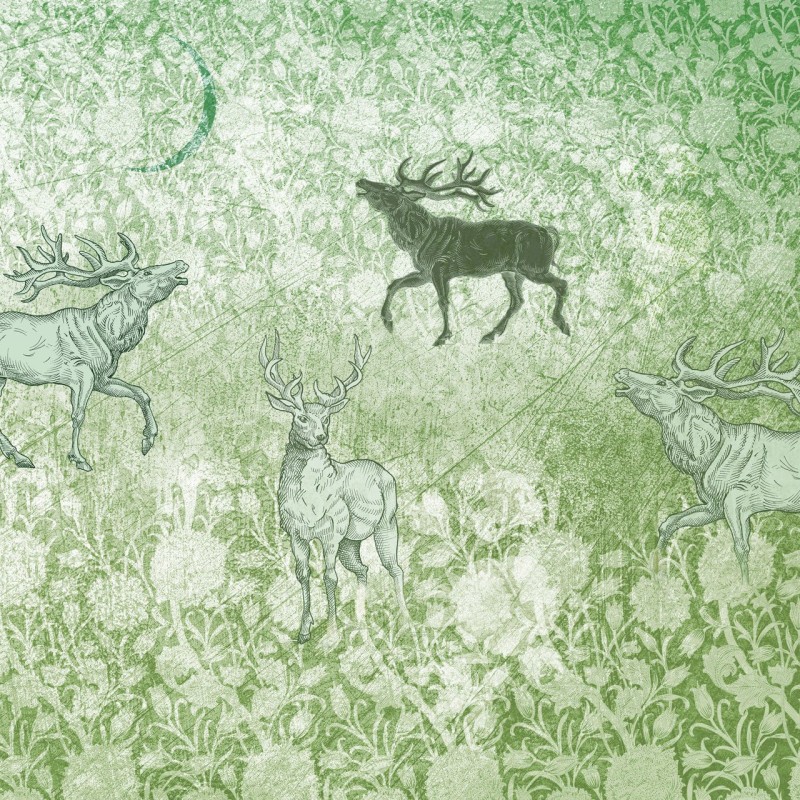 Rimura | Foresta