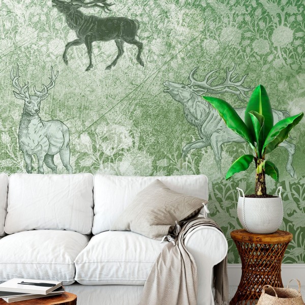 Rimura | Foresta