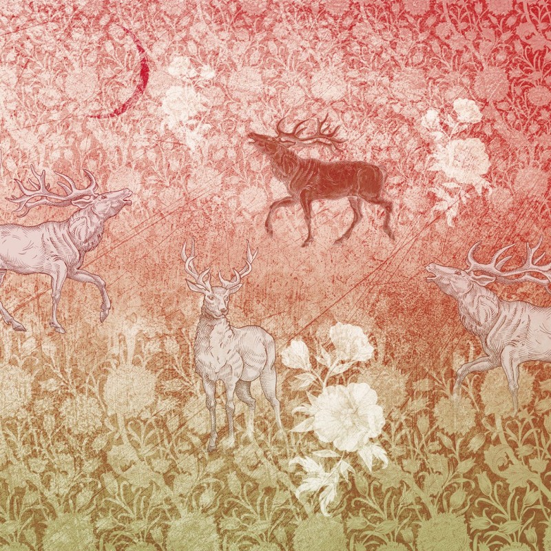 Rimura | Foresta