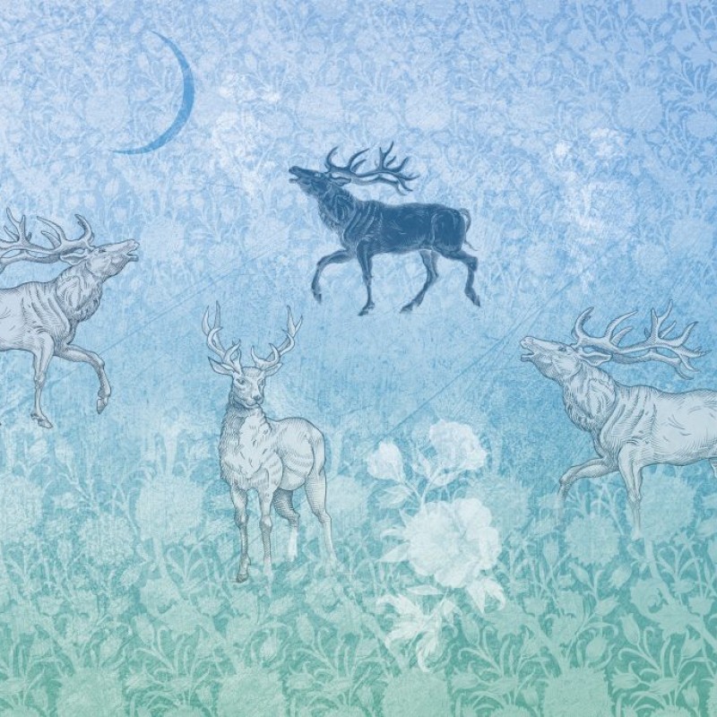 Rimura | Foresta