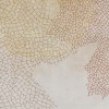 Rimura | Fossil
