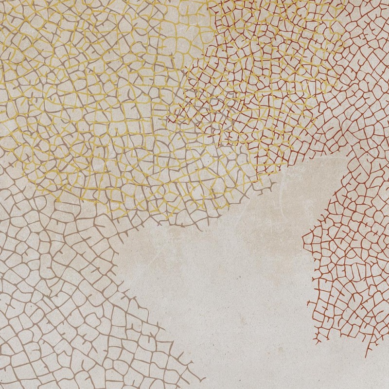 Rimura | Fossil