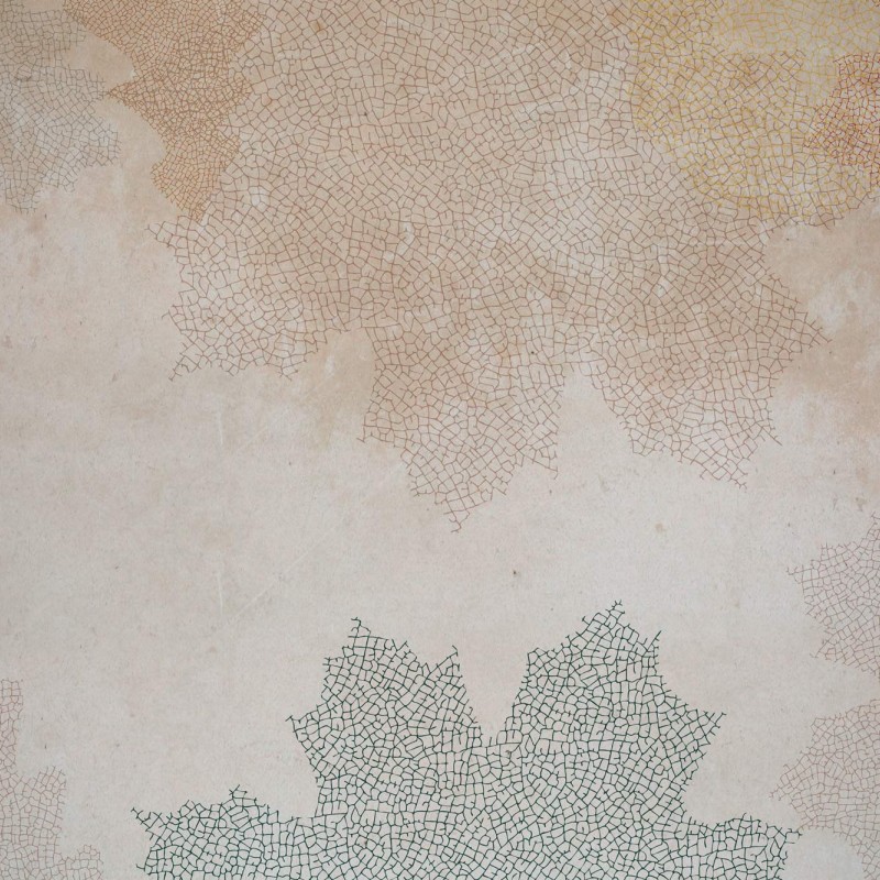Rimura | Fossil