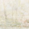 Rimura | Four Seasons