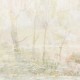 Rimura | Four Seasons