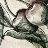 Rimura | Fruit 