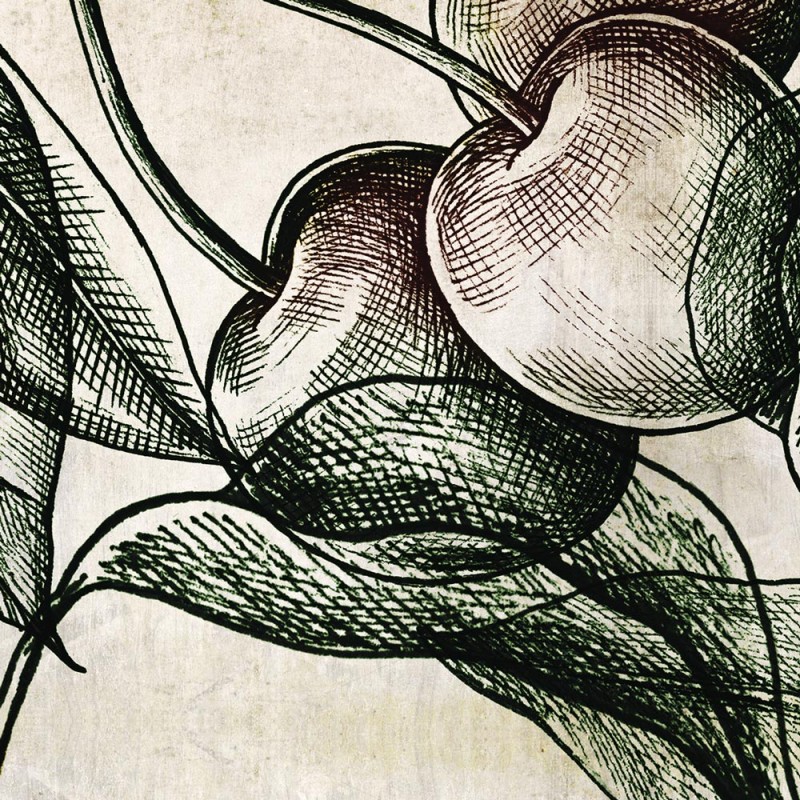 Rimura | Fruit 