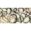 Rimura | Fruit 