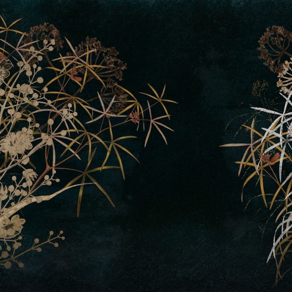Rimura | Fuscus