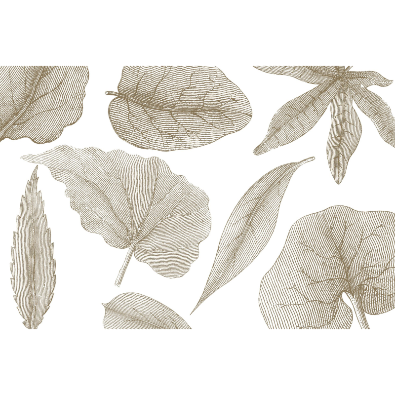 Rimura | Giant Leaves