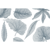Rimura | Giant Leaves