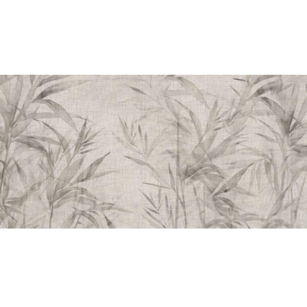 Rimura | Ginseng