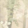 Rimura | Glimmer