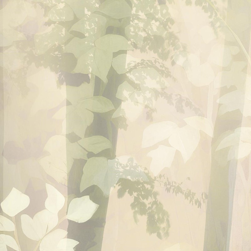 Rimura | Glimmer