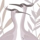 Rimura | Grace