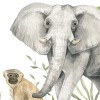 Rimura | Happy Monkey
