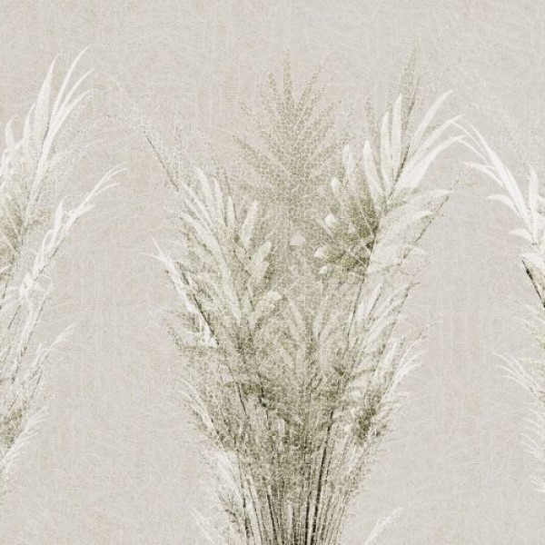 Rimura | Hedge