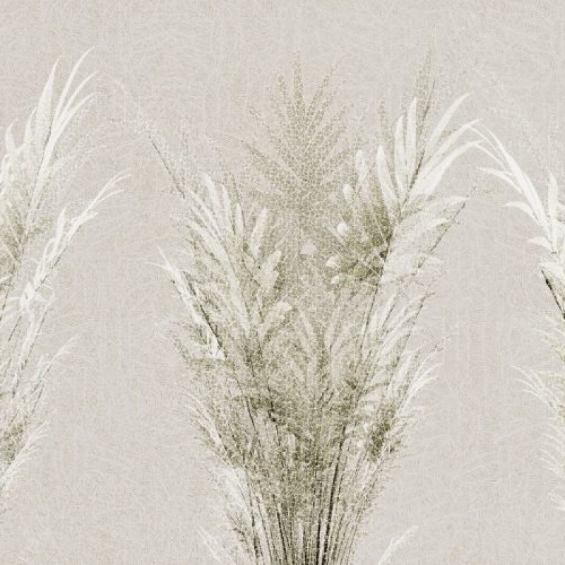 Rimura | Hedge