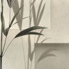 Rimura | Hikari