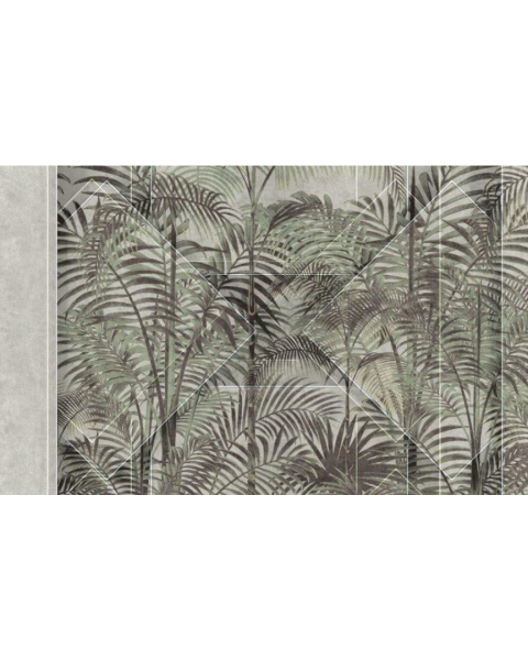 Rimura | Honduras