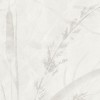 Rimura | Ivory