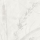 Rimura | Ivory