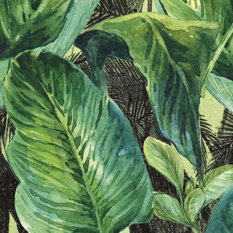 Rimura | Jungle
