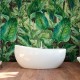 Rimura | Jungle
