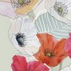 Rimura | Kenzo