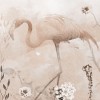 Rimura | Flamingo Bay
