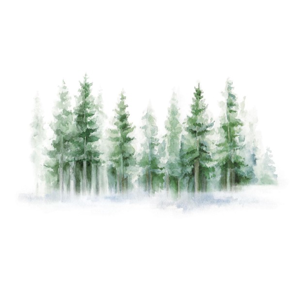 Rimura | Foresta d'Estate