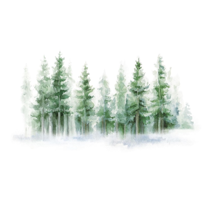 Rimura | Foresta d'Estate