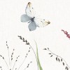 Rimura | Lady Bug